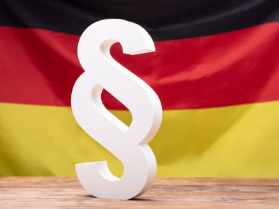 Anpassung von Vorschriften im Berufsrecht von Steuerberatern und anderen rechtsberatenden Berufen